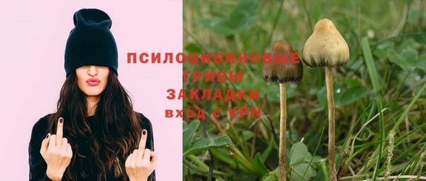 меф Пересвет