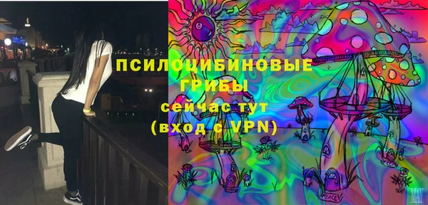ГАЛЛЮЦИНОГЕННЫЕ ГРИБЫ Балабаново