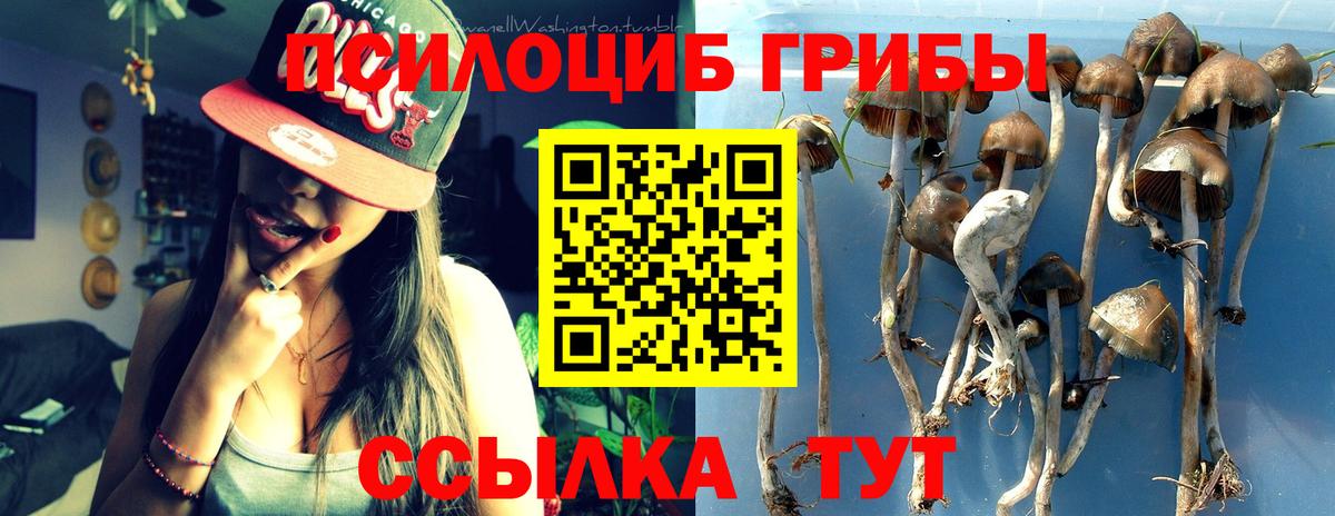 Реутов  Псилоцибиновые грибы Psilocybe  Вход с VPN 